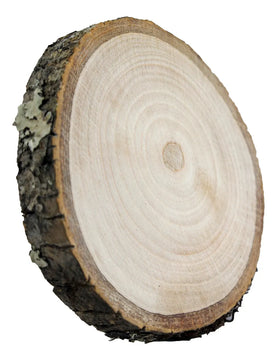 Rodaja De Madera X2 Natural 10cm 2 X Rodajas De Madera Natural De 10 Cm