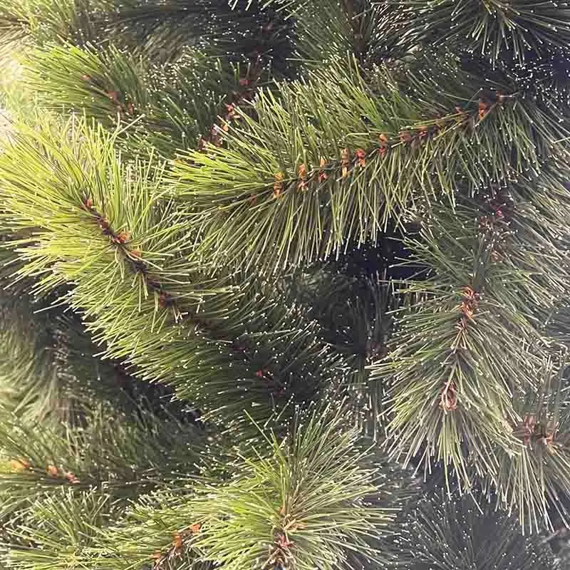Arbol Siberian Spruce 2.10 Mt Verde Verde Oscuro