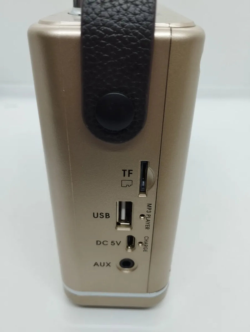 Radio Multibandas Mp3 Portatil Recargable Blue Sonido Claro Dorado