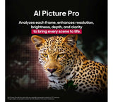 Televisor LG Smart Tv Oled Evo Ai C5 4k De 55 Pulgadas 2025