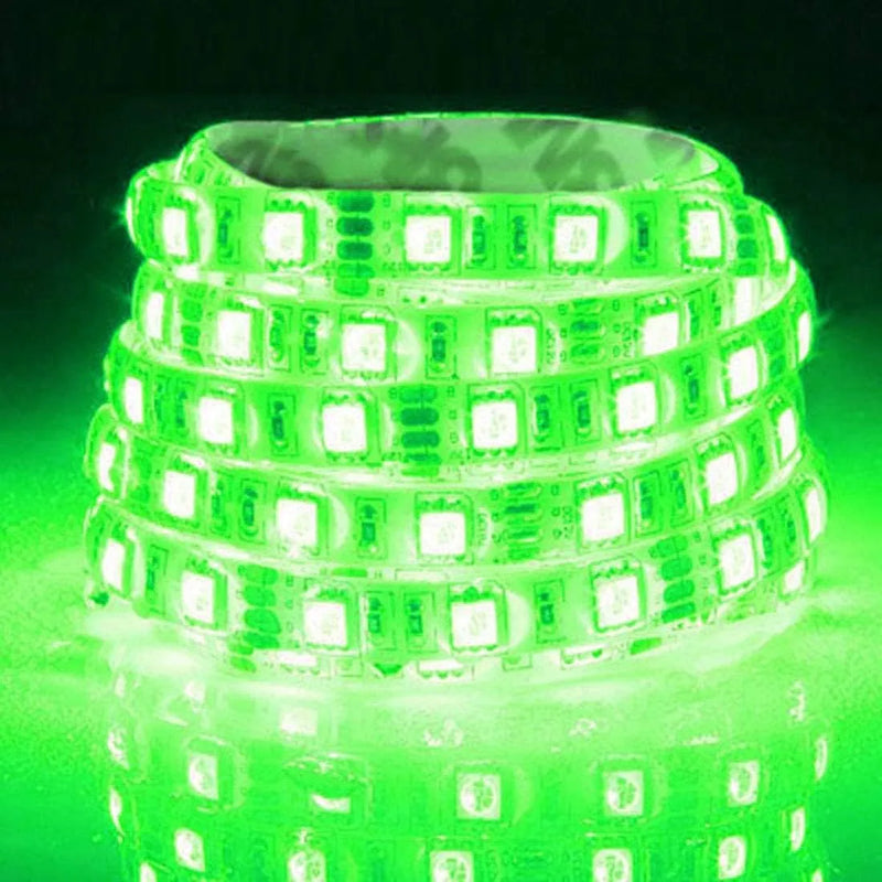 Manguera Navideña Plana Verde 60 Led Mt Rollo 50mt 110v Ip65 Verde Lima