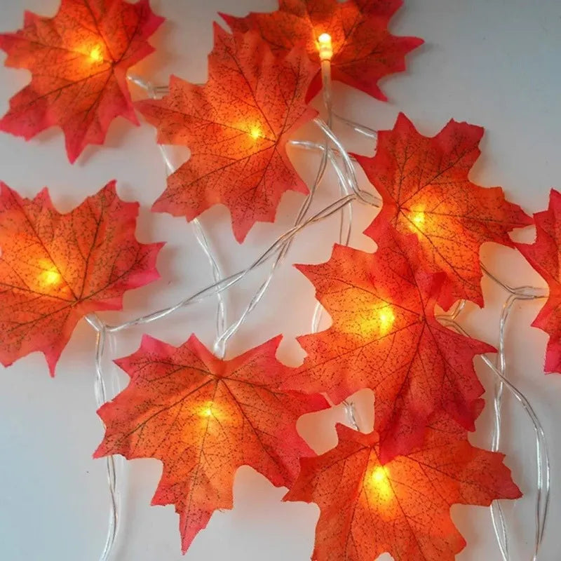 Extensión 20 Luces Navideñas Led Esho 3 Metros