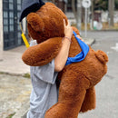 Peluche De Grado Grande 1 Metro + Moño + 3 Globos Oso De Grado