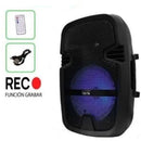 Parlante Cabina De Sonido Profesional Bt + Microfono 6.5' Negro
