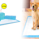 Pañales Entrenadores Para Perro Pads Desechables Mascotas Azul