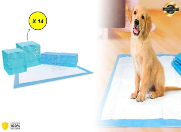 Pañales Entrenadores Para Perro Pads Desechables Mascotas Azul