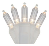 Extensión 50 Luces Navideñas Led Wintergreen Lighting