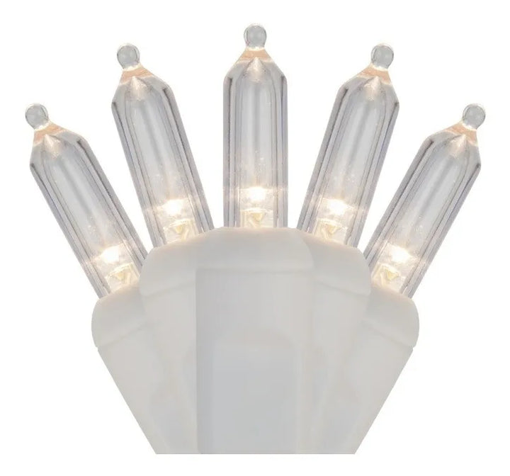 Extensión 50 Luces Navideñas Led Wintergreen Lighting