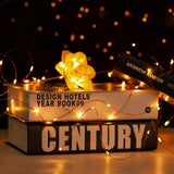 Set 2 Extensiones 100 Luces Navideñas Led Qishi 33 Pies