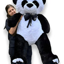 Oso De Peluche Gigante Metro Sesenta 160 + Moño + 3 Globos Negro