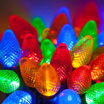 Extensión 25 Luces Navideñas Led Wintergreen Lighting 8