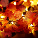 Extensión 20 Luces Navideñas Led Esho 3 Metros