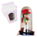 Rosa Eterna Roja Luz Led Alumbra Regalo Detalles Mujer Rojo