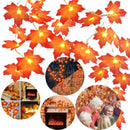 Extensión 20 Luces Navideñas Led Esho 3 Metros