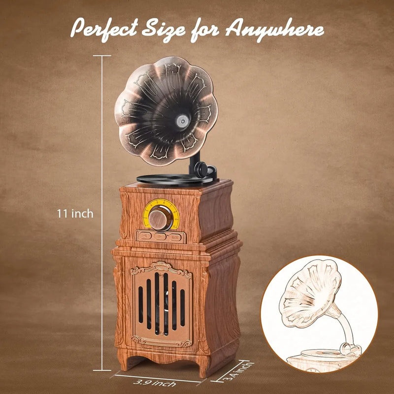 Radio Fm Altavoz Retro Antiguo Portatil Gran Sonido Madera