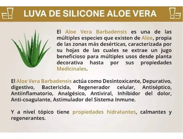 Hinode Hands Crema de manos Aloe Vera pack 3