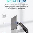 Soporte Ergonomico Monitor Grandes Pantallas Conector Usb Carbón Mate