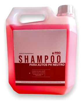 Shampoo Ph Neutro Concentrado Autobrillante Carros Motos 4 litros
