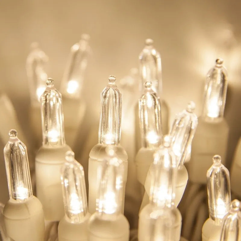 Extensión 50 Luces Navideñas Led Wintergreen Lighting