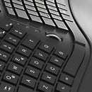 Teclado Klip Xtreme Transcend Wireless Ergonómico - Kbk-530s Color Del Teclado Negro