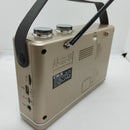 Radio Multibandas Mp3 Portatil Recargable Blue Sonido Claro Dorado