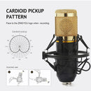 Microfono Condensador Profesional Bm-800 + Tarjeta De Sonido Negro/dorado
