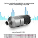 Microfono Para Grabacion Estudio Electro Takstar Sm-8b Color Gris