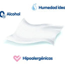 Pañitos Humedos Winny X100