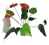 Flor De Anturio Artificial Decoración Mata Plástica Regalo