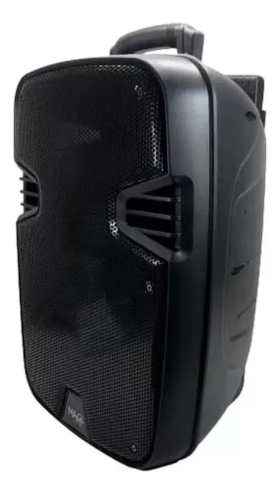 Parlante 12 Pulgada Magi C/directa/recargable Base+microfono Negro
