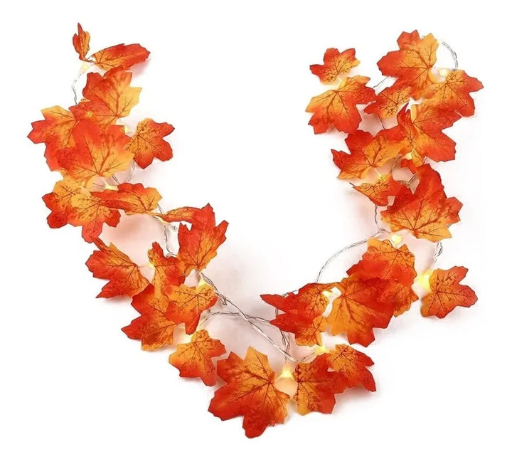 Extensión 20 Luces Navideñas Led Esho 3 Metros