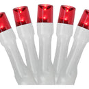 Extensión Luces Navideñas Led Northlight 9.5 Pies Color