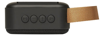 Parlante Laney LSS-45 portátil con bluetooth negra