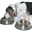 Comedero Plato Perro Grande 21 Cmts Diametro En Acero Color Plateado
