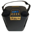 Parlante Portatil Bluetooth Karaoke 2 Micrófonos Inalámbrico Negro