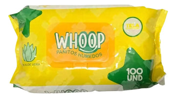 Pañitos Húmedos X100 Unidades