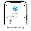 Audifonos Bluetooth In-ear Amazon Echo Buds Echo Buds 2023 Ipx2 Color Negro
