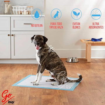 Pañales Entrenadores Para Perro Pads Desechables Mascotas Azul