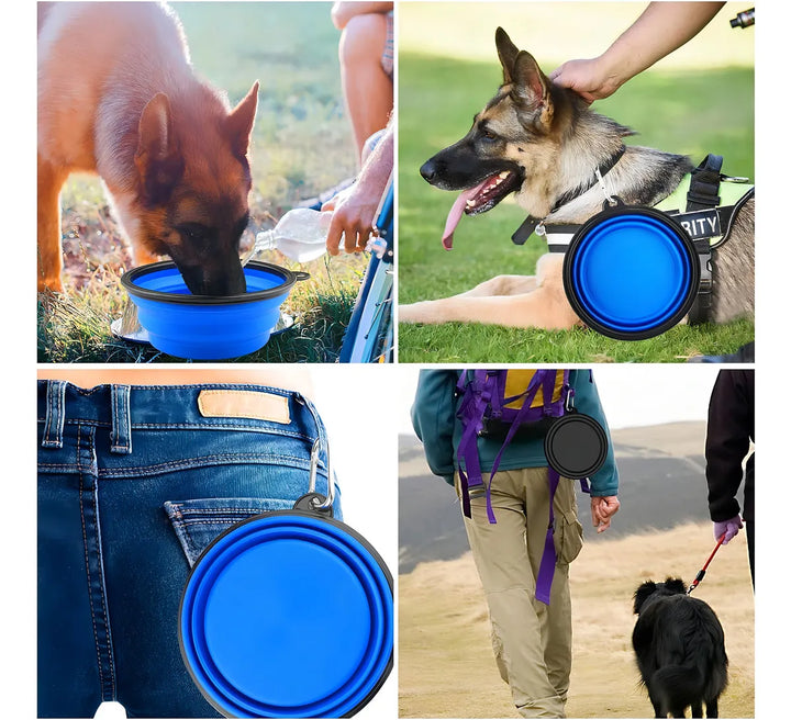 Plato De Goma Plegable Portátil De Mascotas Perro Y Gato Color Azul