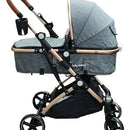 Coche de paseo Maxi Baby Moises Moises gris