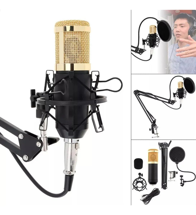 Microfono Condensador Semiprofesional