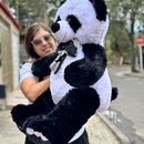 Oso De Peluche Gigante Josefino 1 Metro + 3 Globos + Moño Panda