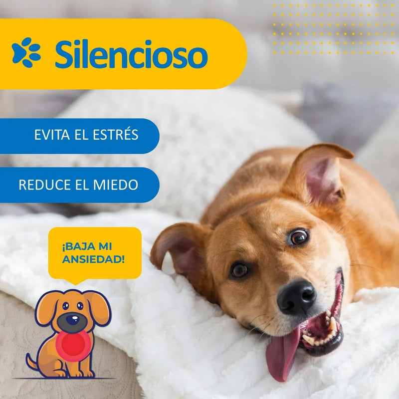 Maquina Peluqueria Corta Pelo Mascotas Perro Gato Kit Petpal Color Negro