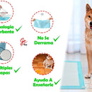Pañales Entrenadores Para Perro Pads Desechables Mascotas Azul