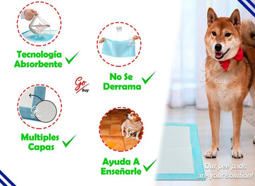 Pañales Entrenadores Para Perro Pads Desechables Mascotas Azul