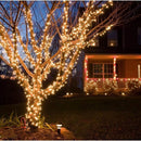 Instalación Navideña Decoración 300 Luces Cálidas Arbolito