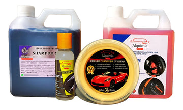 Shampoo X20 - Desengrasante - Llantil - Cera De Carnauba