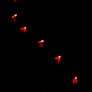 Luces Navidenas Rojas Led Mini Set 50 Unidades