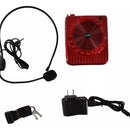 Parlante Portátil Micrófono Amplificador Bluetooth Radio Sd