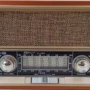Radio Am Fm Parlante Usb Retro Recargable Baterías ¡ Mp3! Co Color Negro